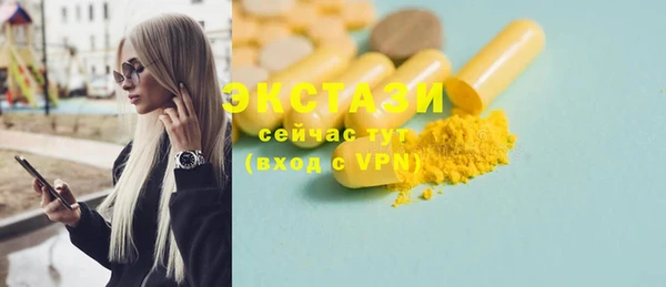 тгк Богородицк