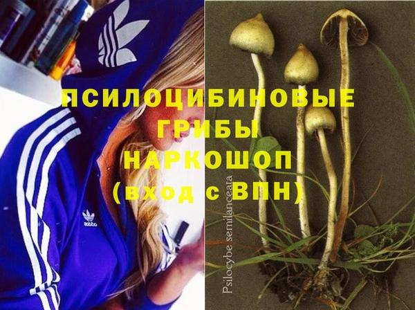молекула духа Богородск